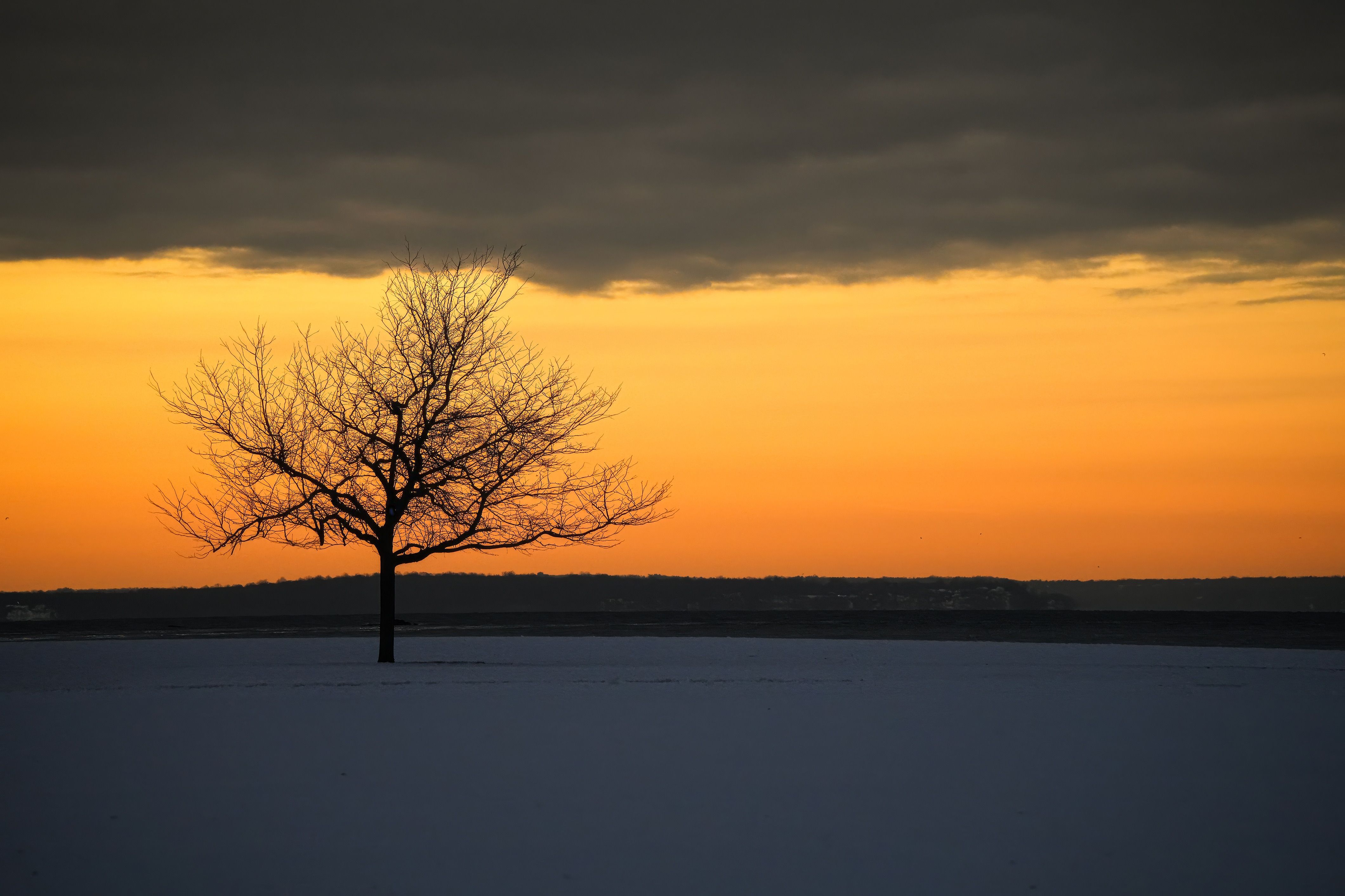Solitary Tree at Sunset Over Snowy Landscape · Free Stock Photo