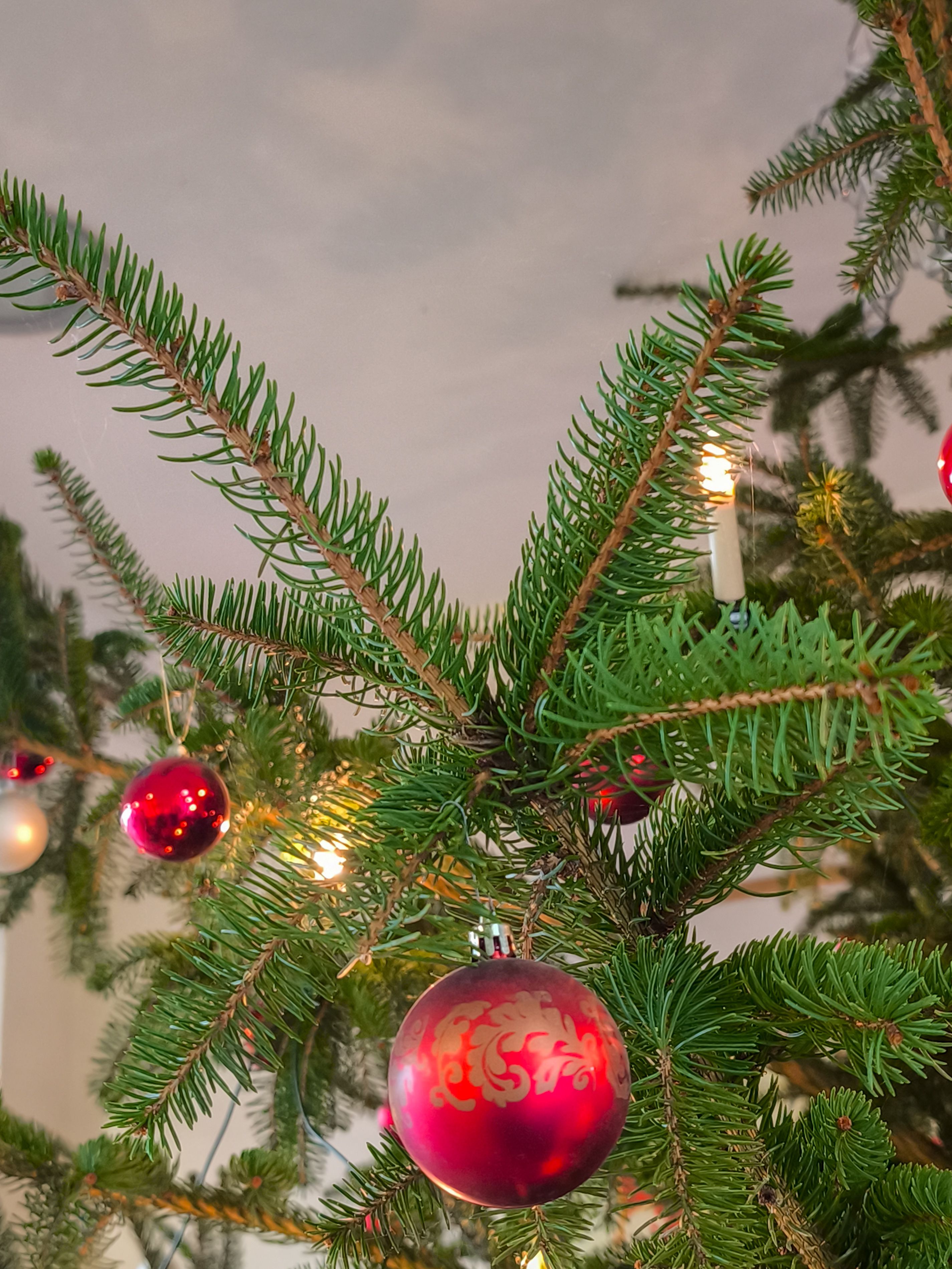 Festive Christmas Tree with Red Ornaments · Free Stock Photo