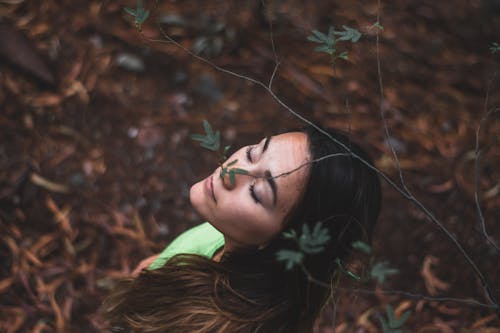 Základová fotografie zdarma na téma amor, arboles, atardecer