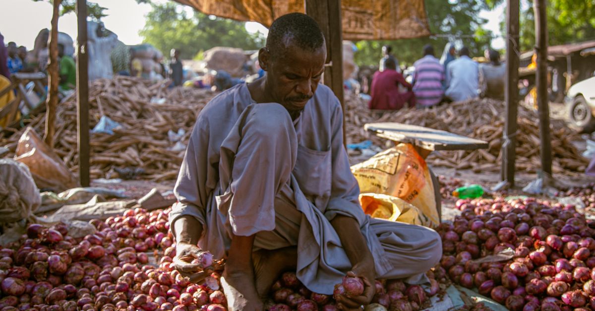 Agricultura y agroindustria en Zambia: claves para mejorar la seguridad alimentaria Agricultura y agroindustria en Zambia: claves para mejorar la seguridad alimentaria