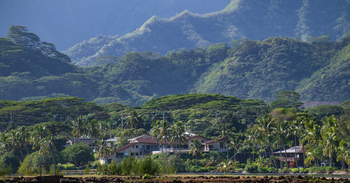 Photo by Trac Vu HUD Funding Uncertainty Threatens Homeless Housing in Hawaii