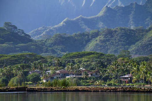 Photo by Trac Vu HUD Funding Uncertainty Threatens Homeless Housing in Hawaii