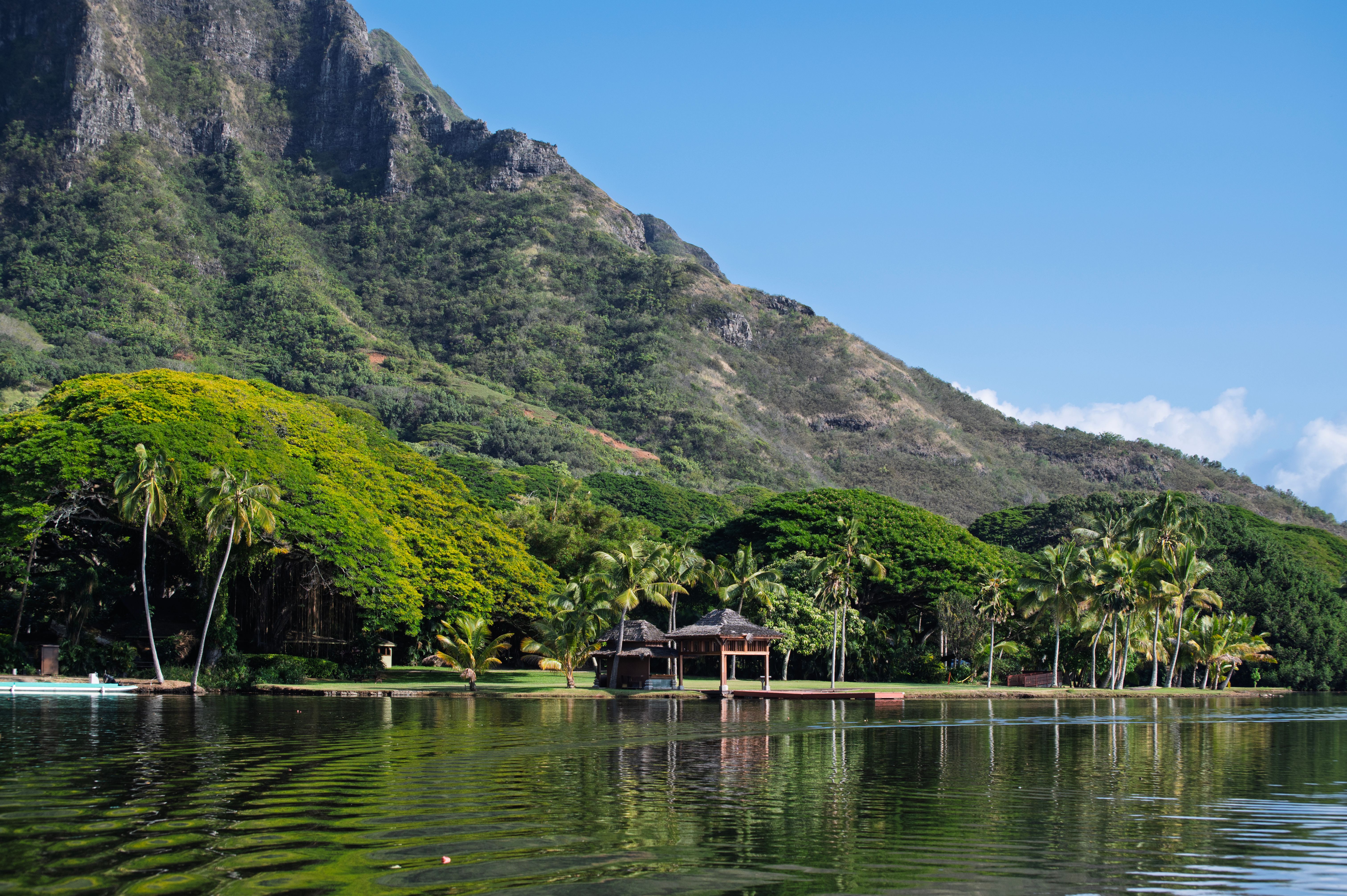 6 Day Return to Your Heart Retreat in Oahu, Hawaii 3