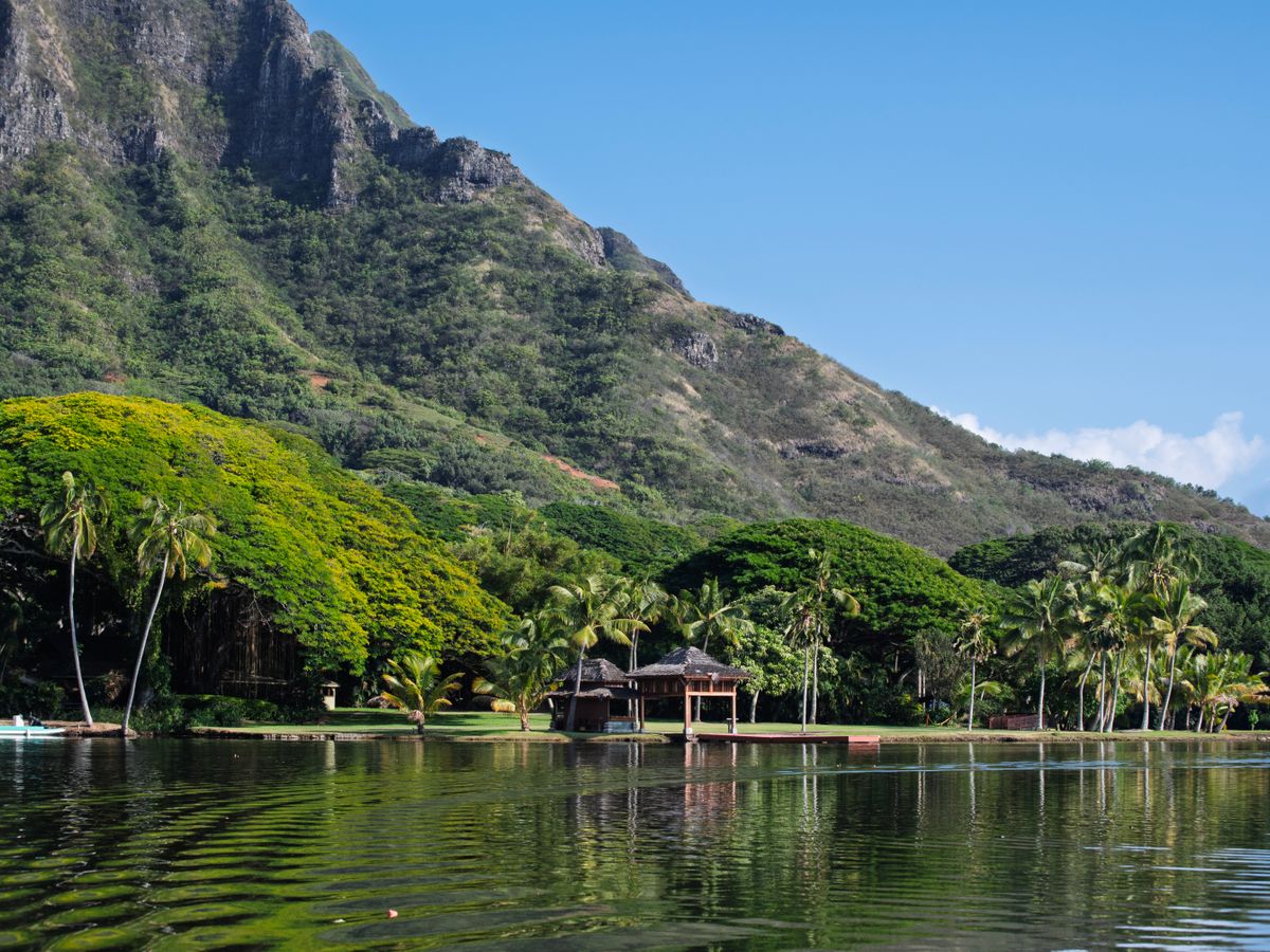 6 Day Return to Your Heart Retreat in Oahu, Hawaii 3