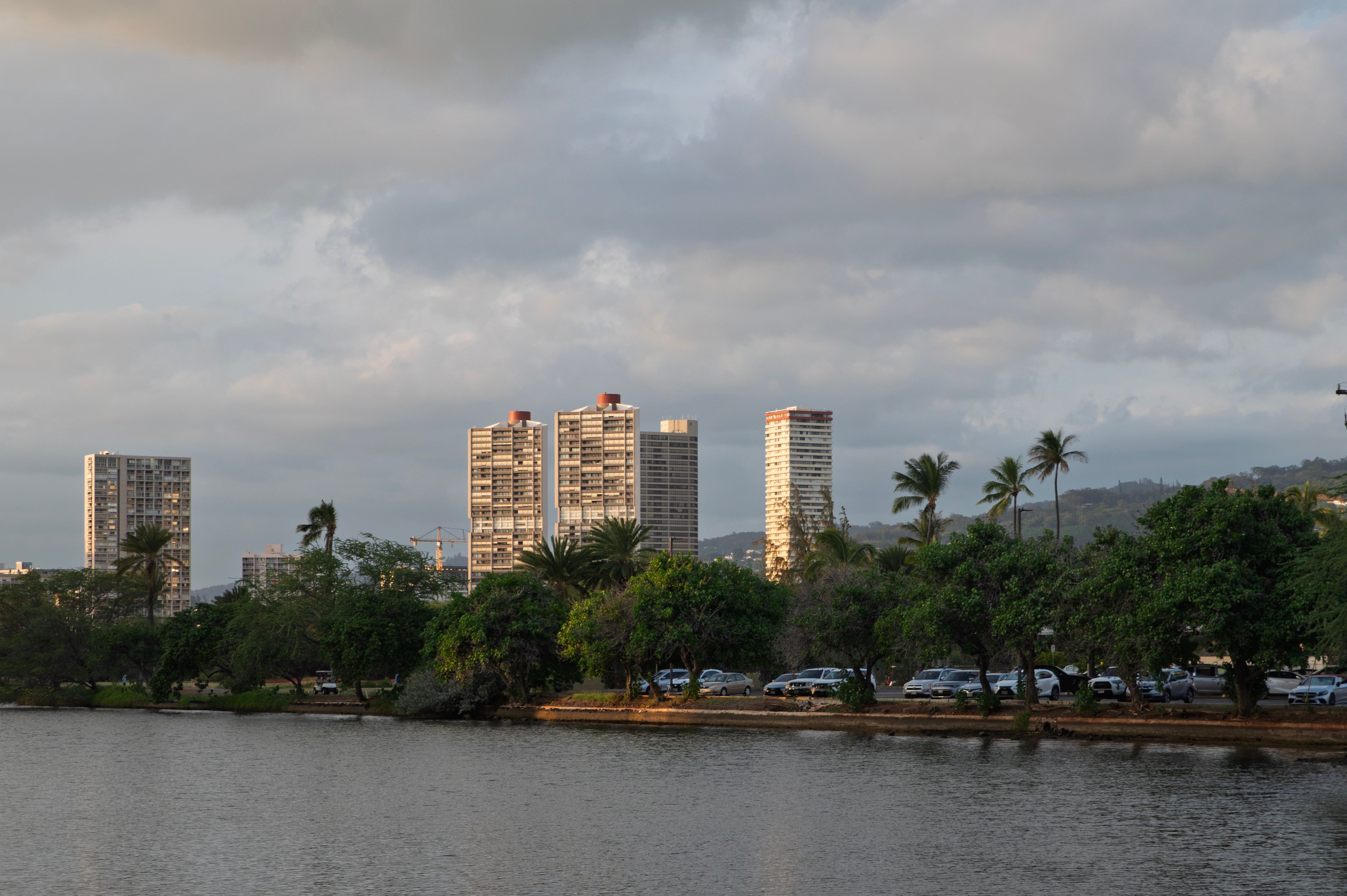 Urban Skyline at Sunset with Palm Trees · Free Stock Photo