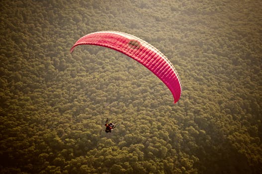 A thrilling paragliding flight over the dense forests of Ölüdeniz, Türkiye, captured from above.