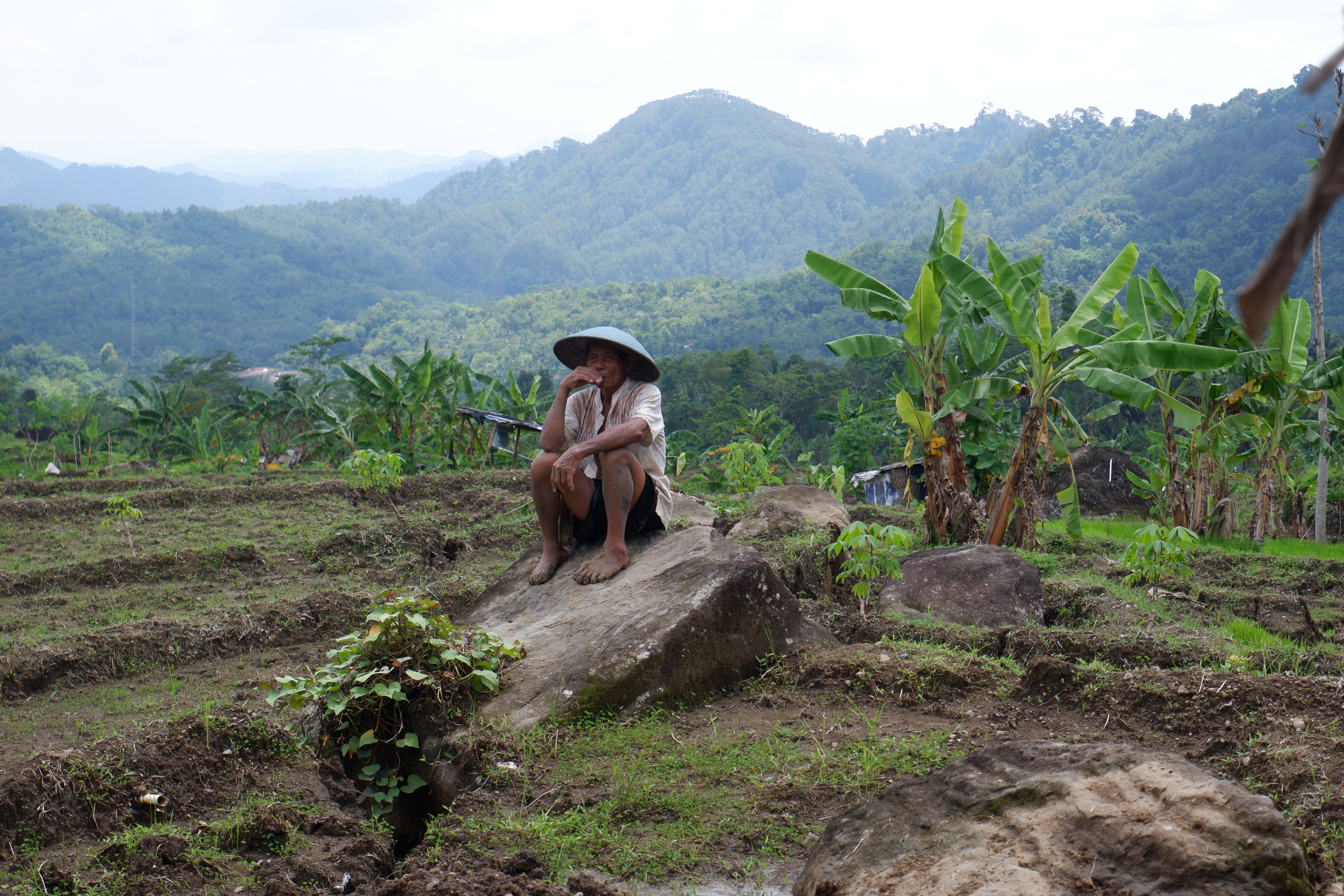 Menelusuri Keindahan Alam Pedesaan di Daludalu, Pesona Riau yang Tersembunyi