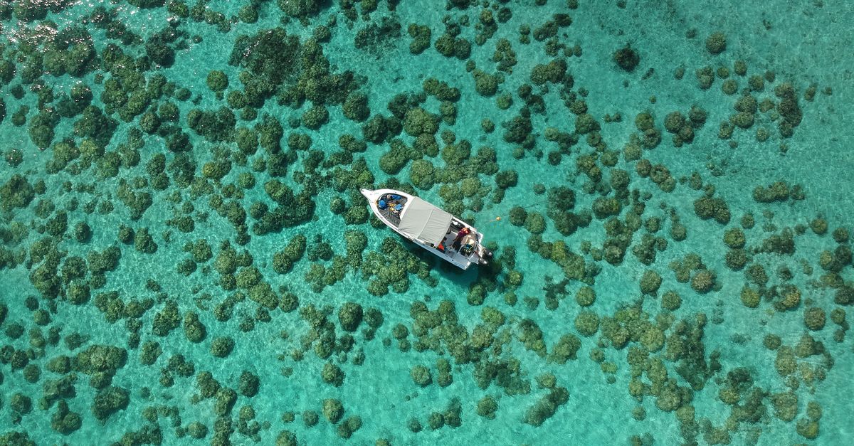 Île Maurice : Guide Voyage Complet 2026