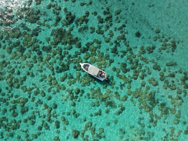 Coral Island Tour
