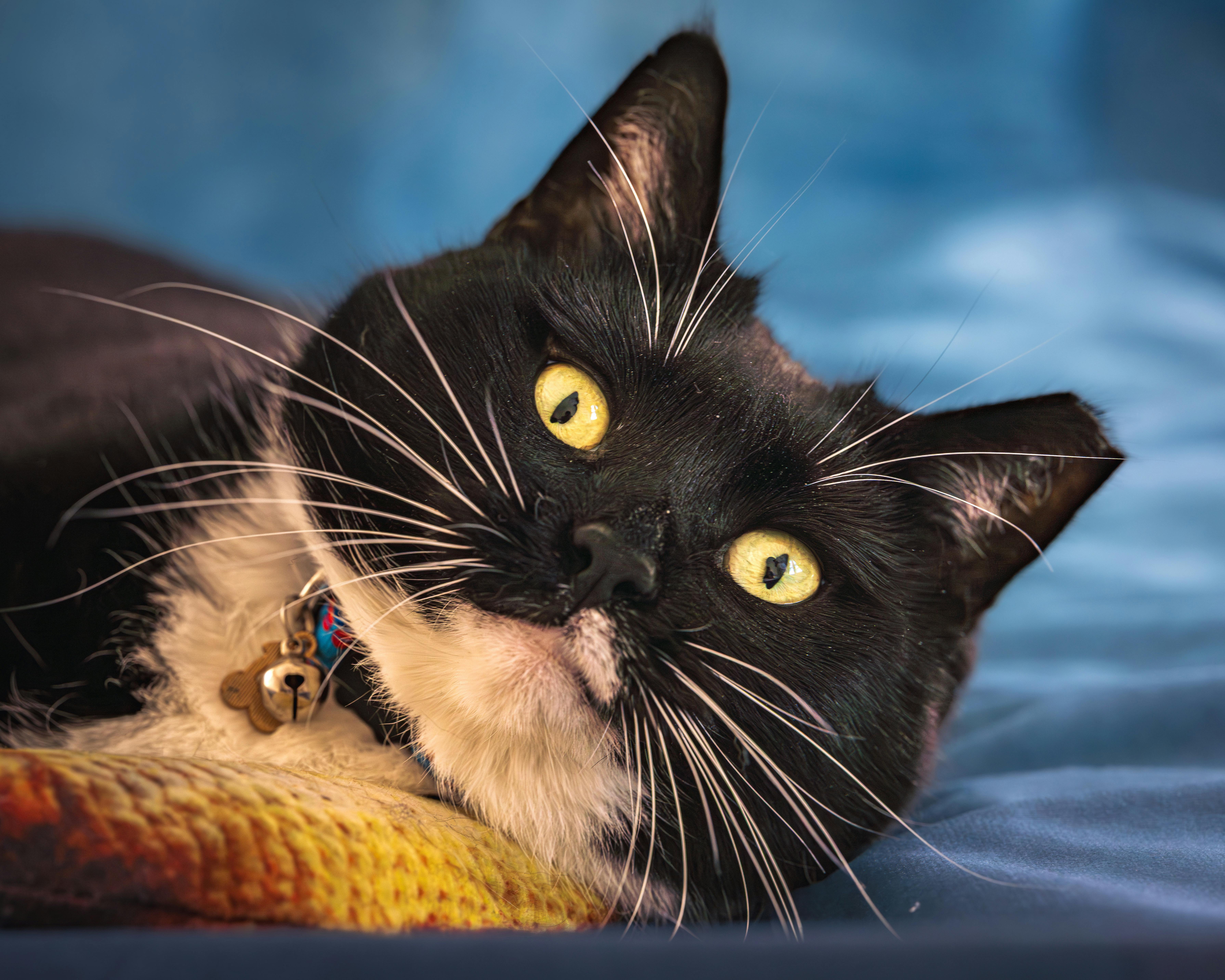 Image related to Top 10 Homeschool Curriculum Strategies That Actually Work