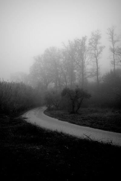 Foggy country road, photo by ommy on Pexels