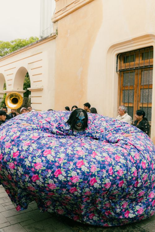 Free Captivating traditional performance in San Cristóbal de las Casas, Chiapas, México, showcasing vibrant cultural attire. Stock Photo