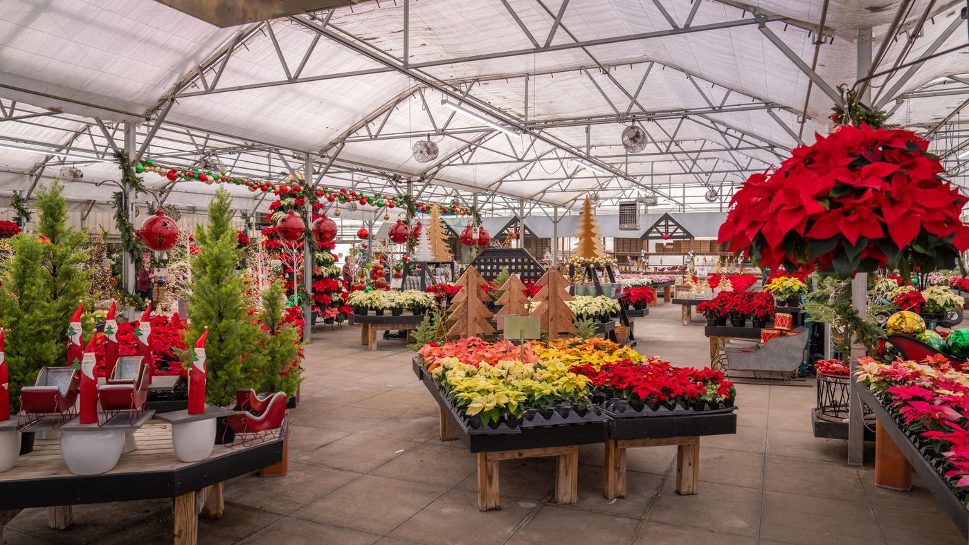 Christmas Decoration Storage: The Rules That Actually Matter