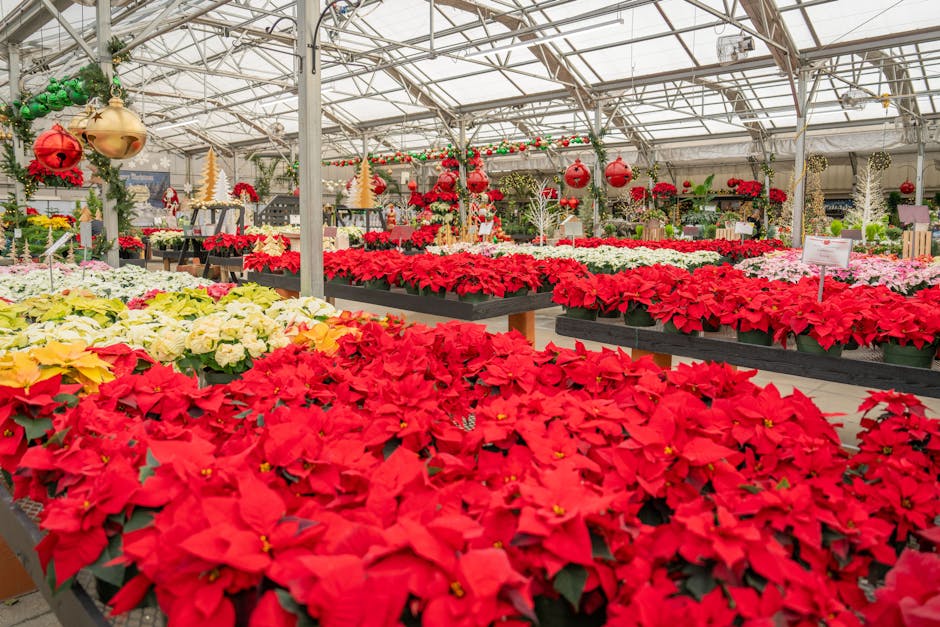 Related to Spring Ahead: Top 3 Greenhouses from GrizzlyShelter.ca to Kickstart Your Indoor Winter Gardening