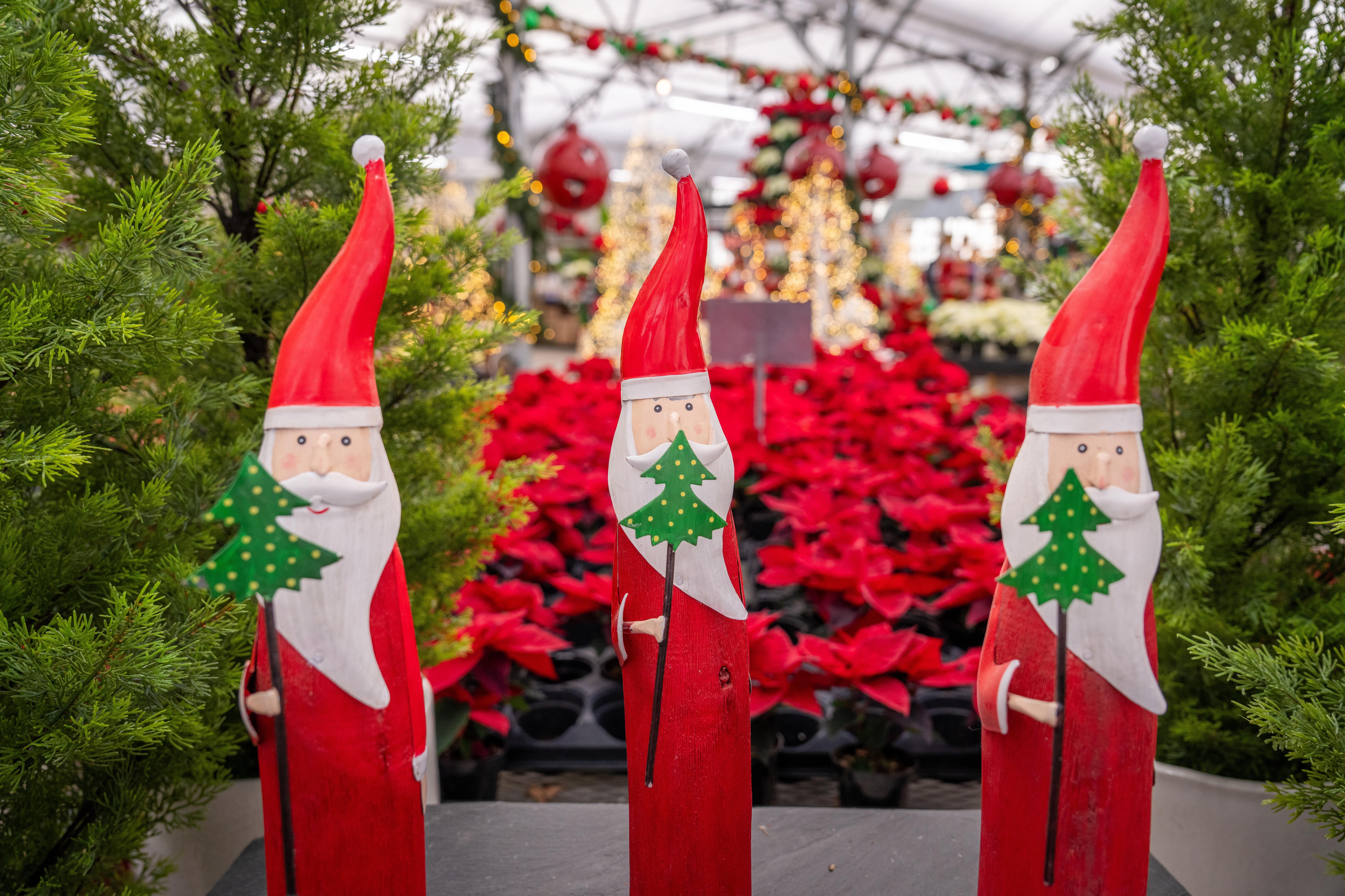 Des figurines de Père Noël en bois sur un marché de Noël, entourées de décorations festives et de poinsettias.