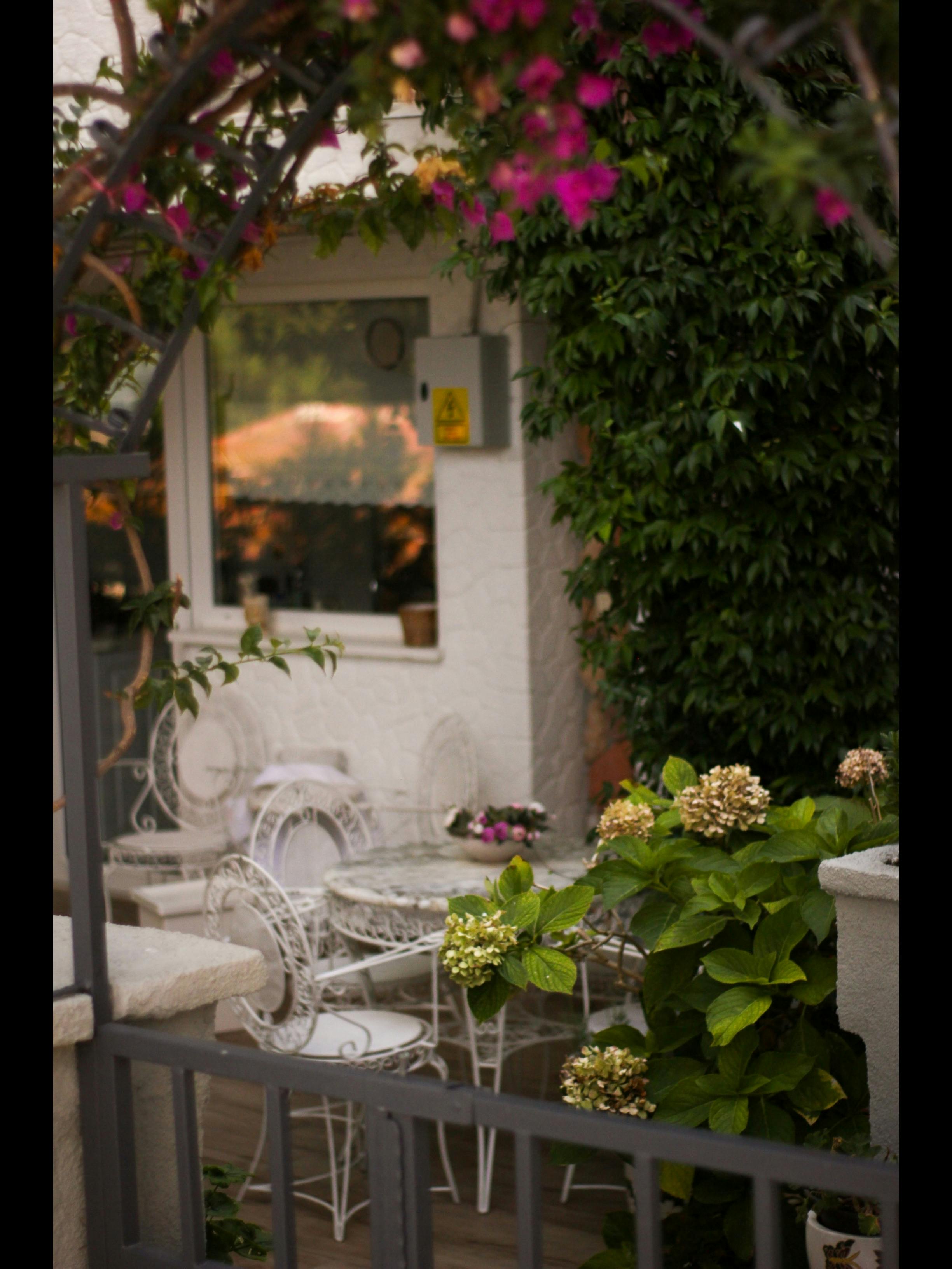 Gratuit Terasă exterioară confortabilă, cu mobilier vintage din fier și verdeață luxuriantă, perfectă pentru relaxare. Fotografie de stoc