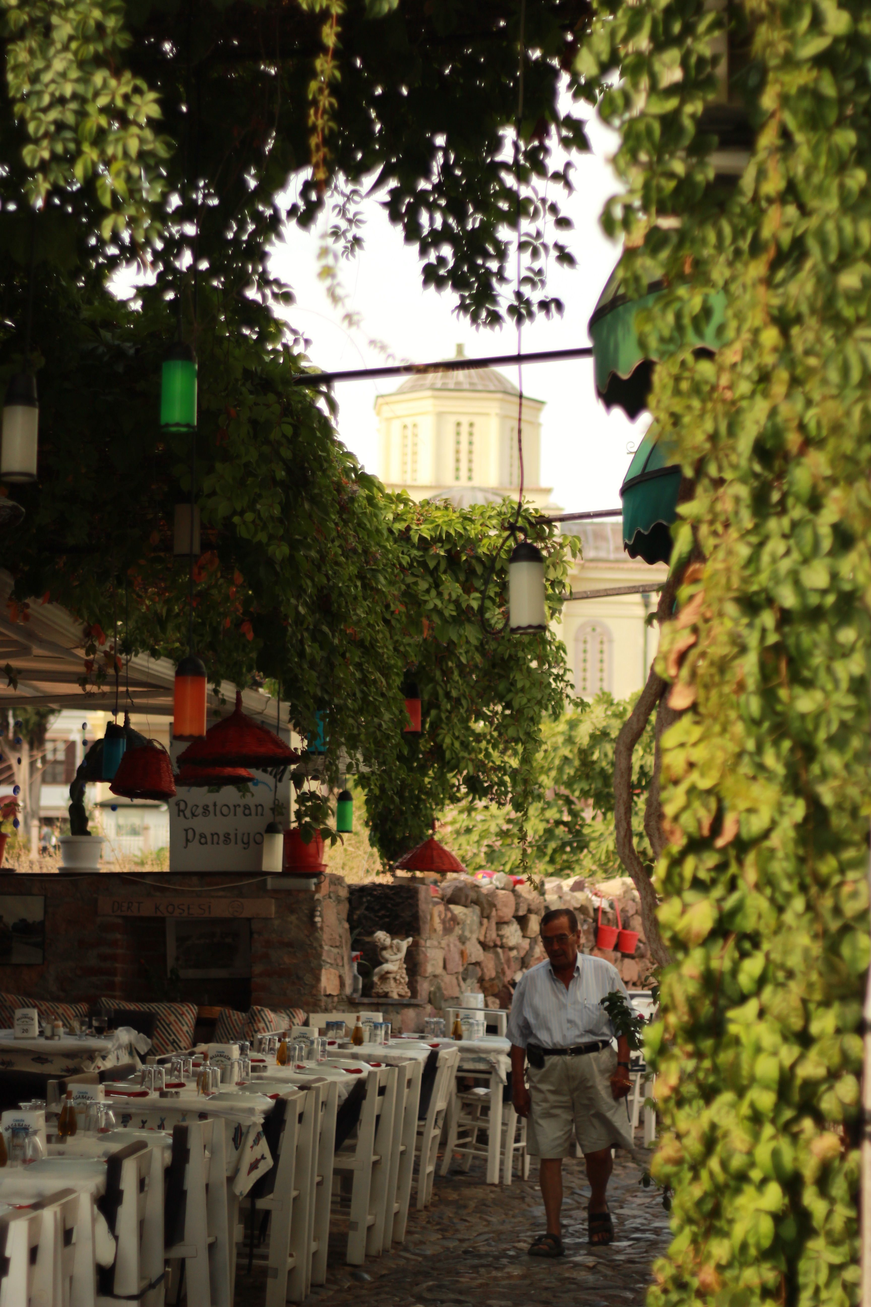 A picturesque outdoor café with tables set under lush green leaves, evoking a serene ambiance.