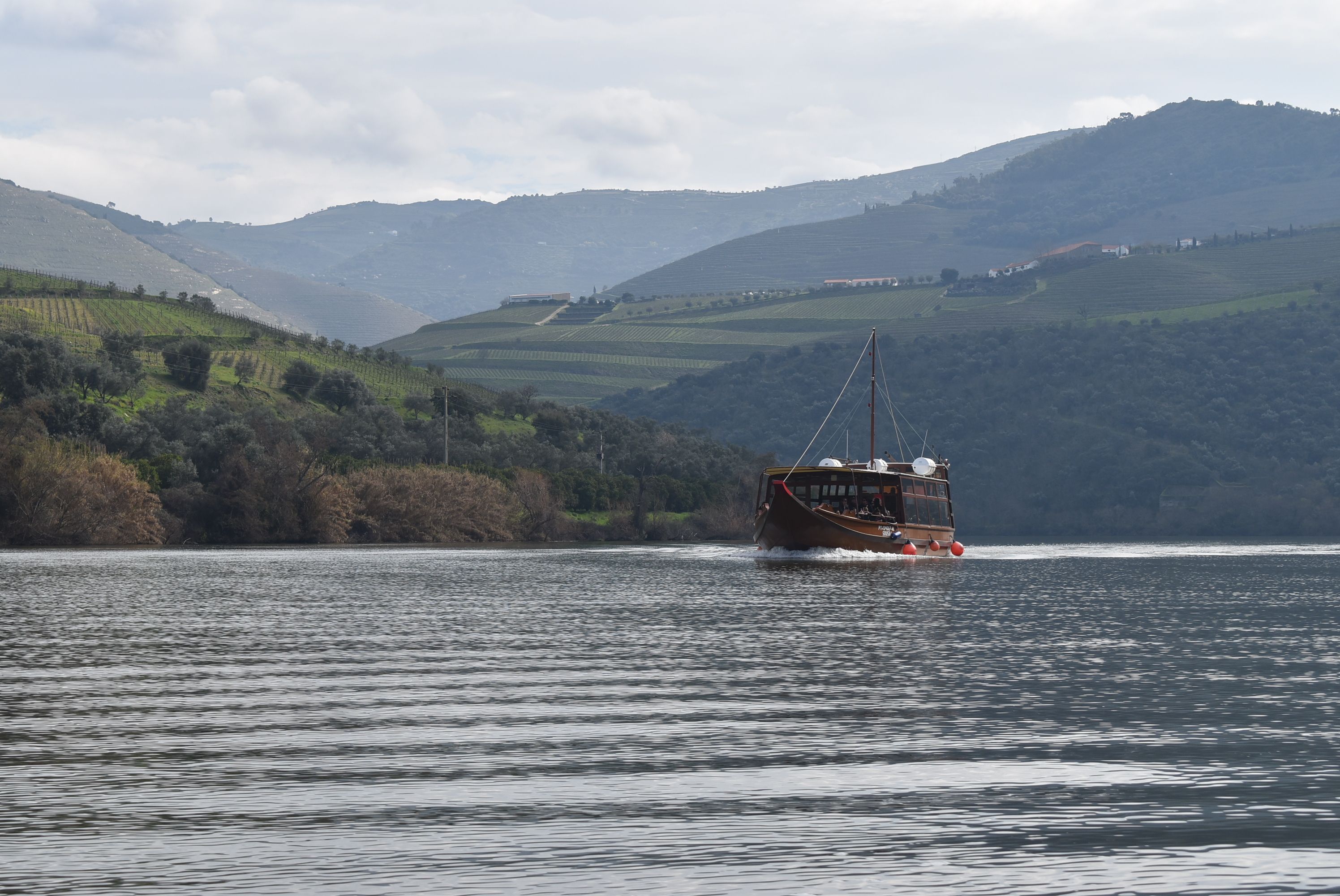 Charming riverboat on Douro River with vineyard hills in Porto, Portugal.