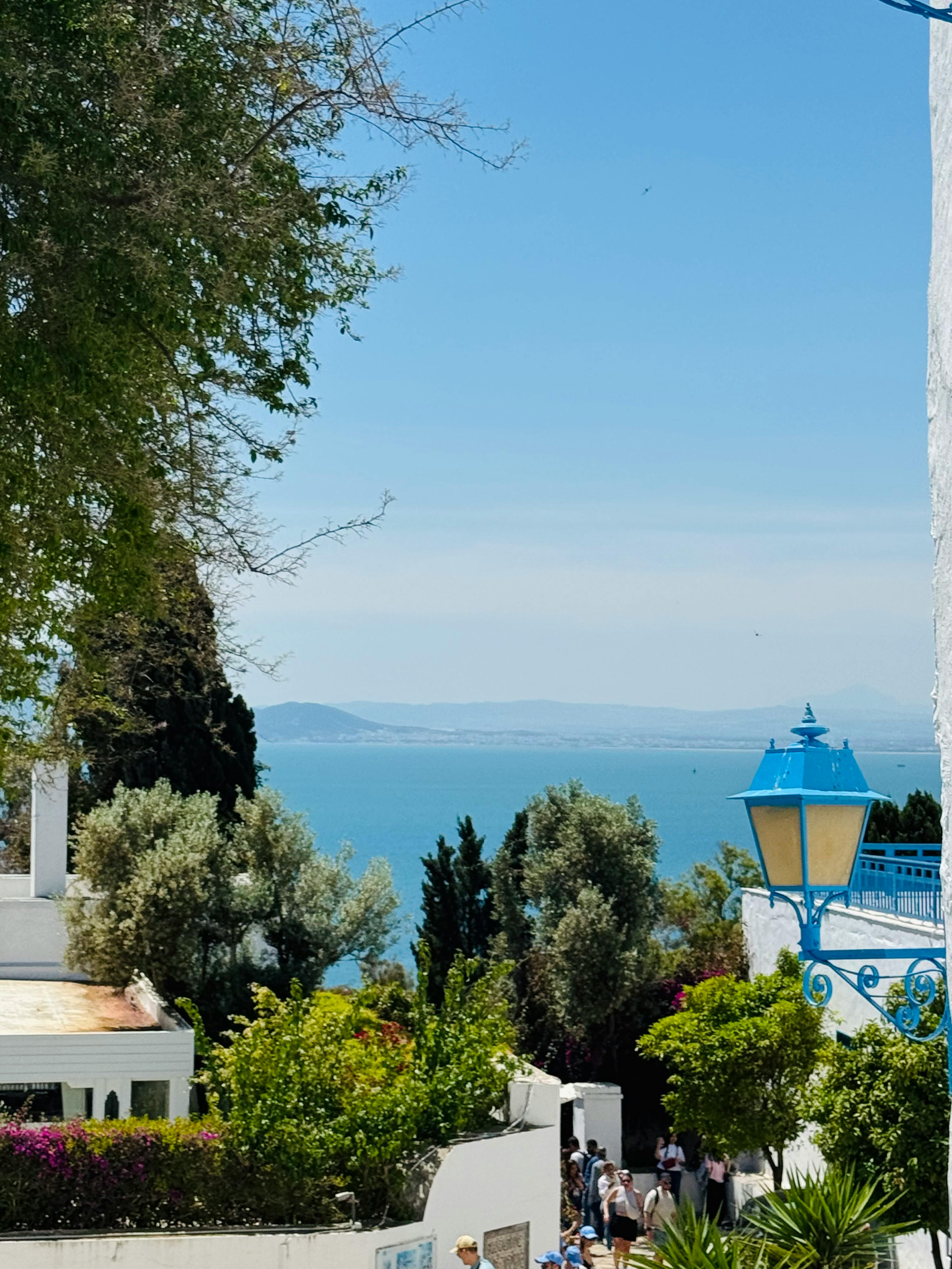Beautiful seaside view from Sidi Bou Said capturing the Mediterranean charm.
