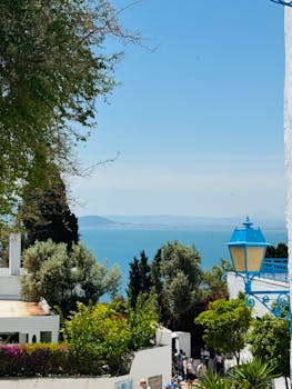 Beautiful seaside view from Sidi Bou Said capturing the Mediterranean charm.