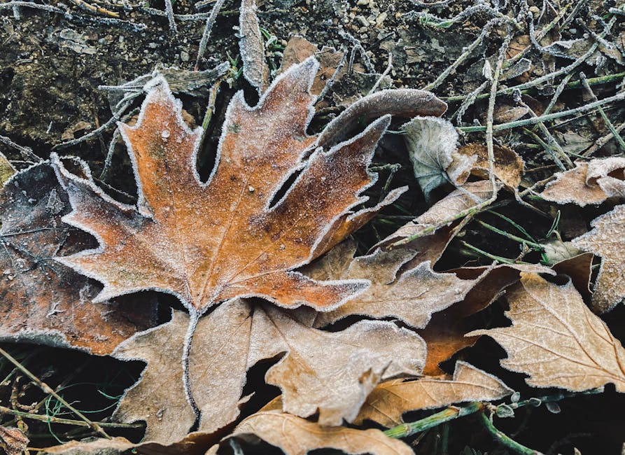 Vremenska napoved: prazniki v znamenju oblakov