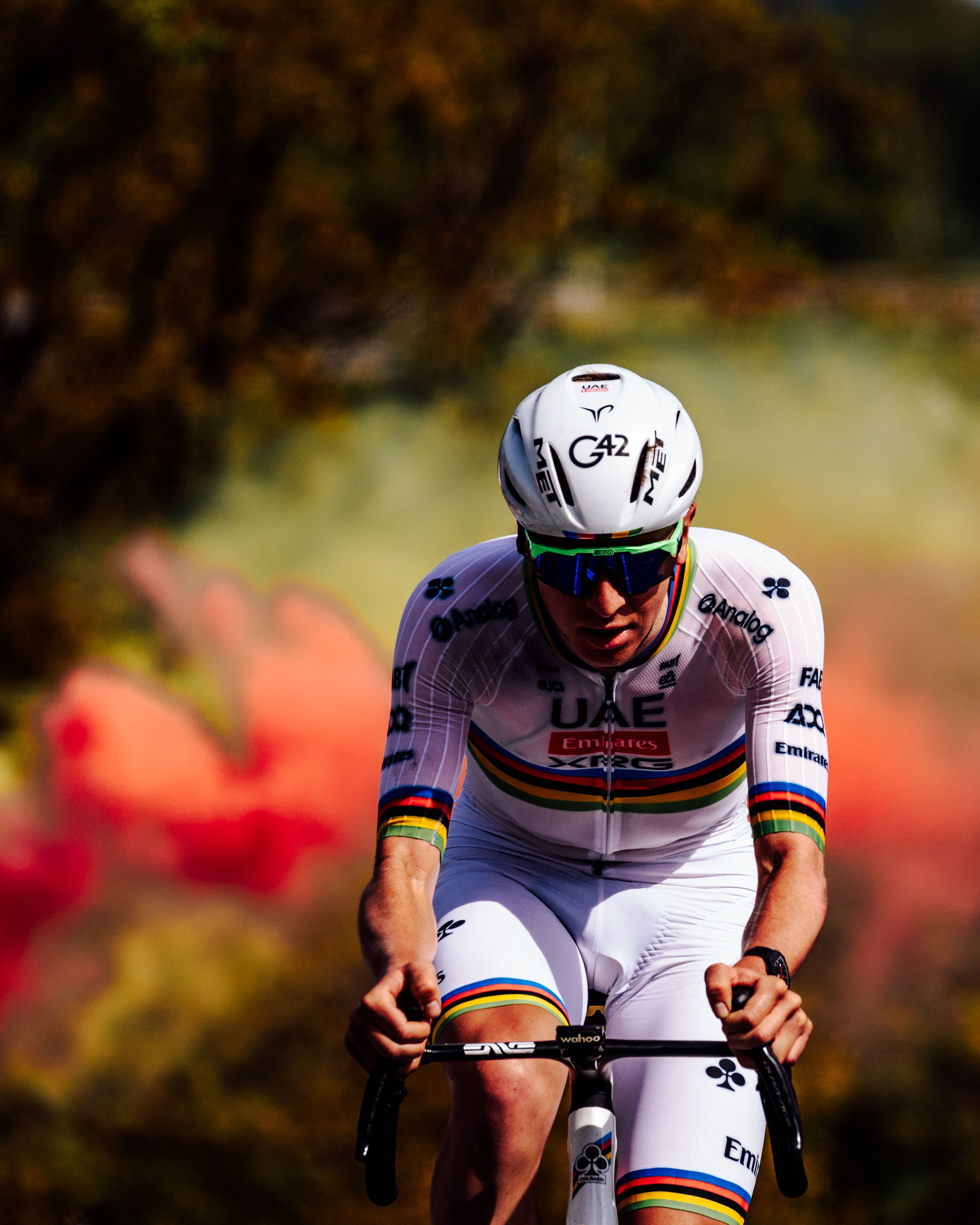 Professional Cyclist Racing in Colorful Setting · Free Stock Photo