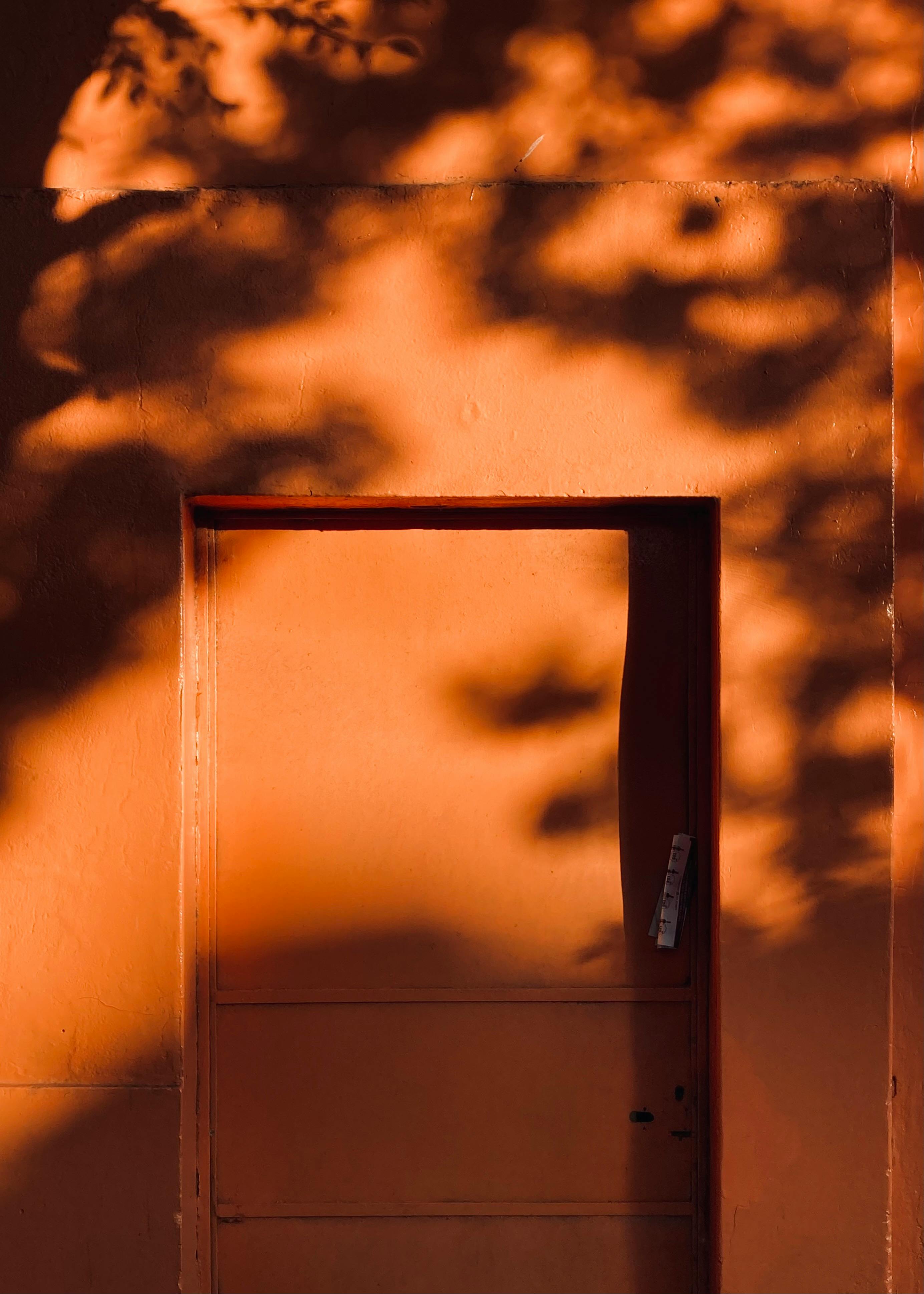 免費 陽光照耀下，橘色的牆壁上樹影交錯，投射出錯綜複雜的圖案。 圖庫相片