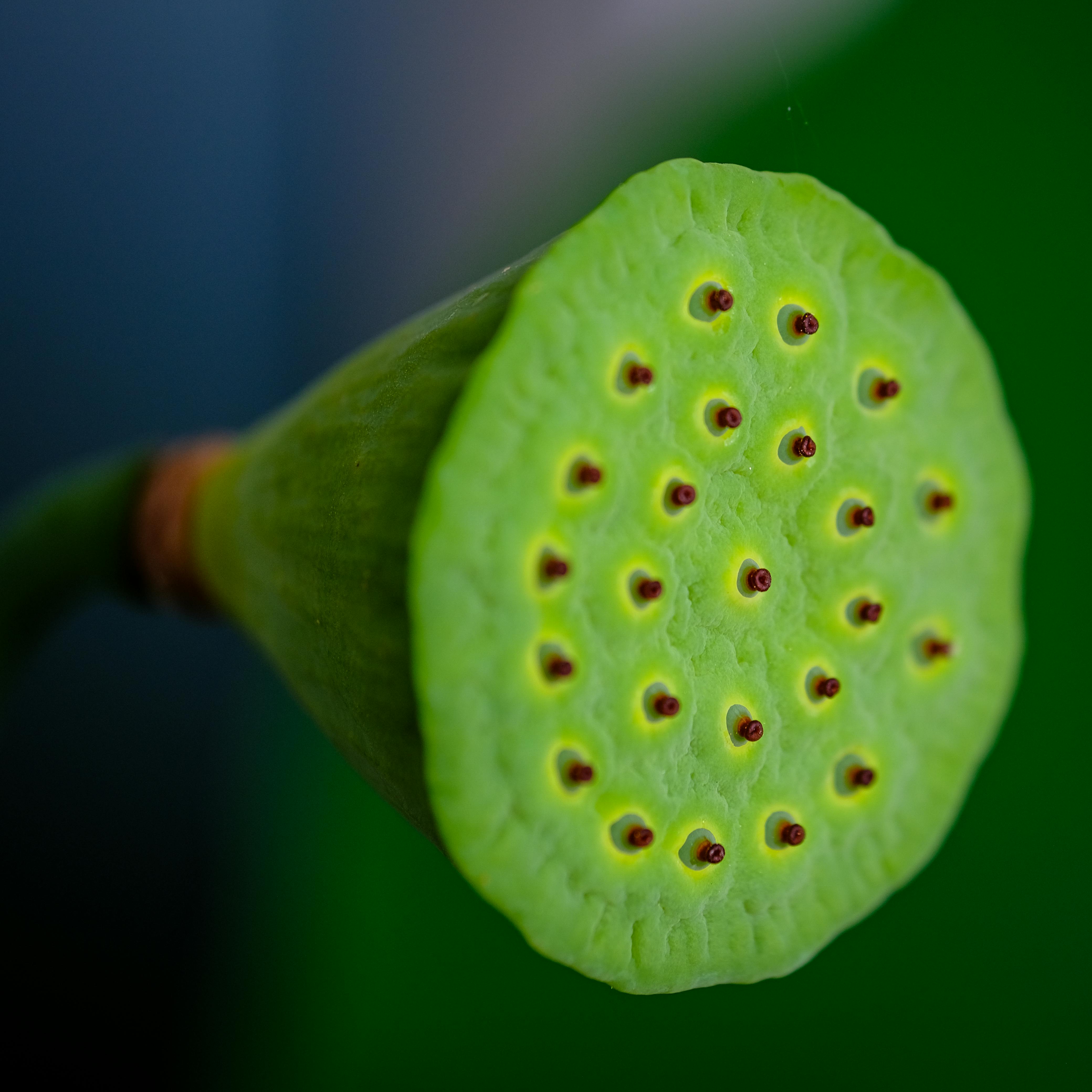 Unlock Your Full Potential 1