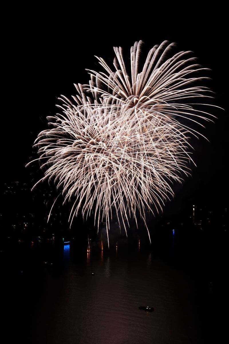 Fireworks display bursting over the sea at night