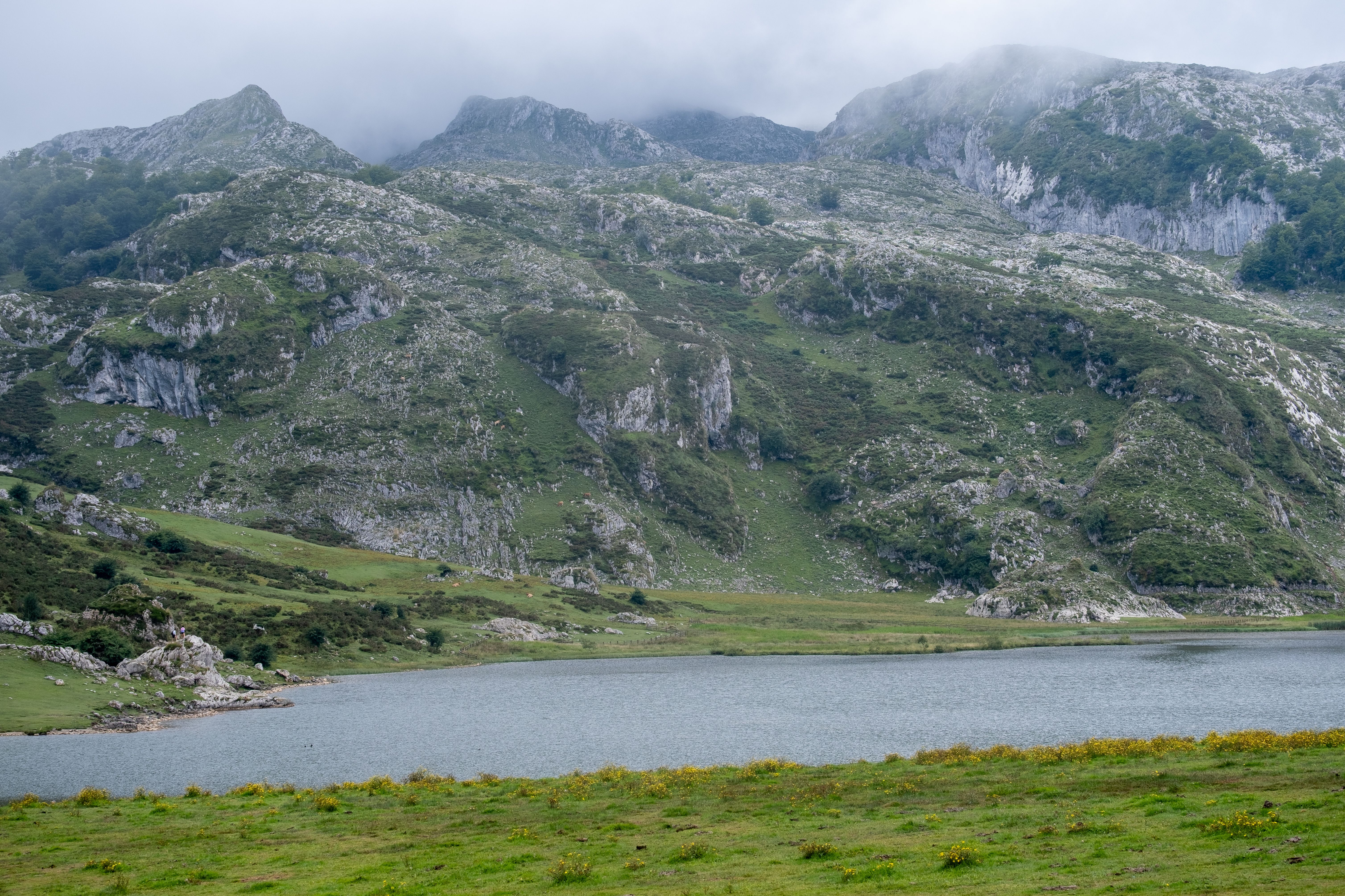 Serene Mountain Lake Landscape with Mist · Free Stock Photo