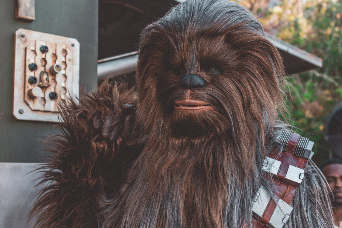 Free Chewbacca of Star Wars Stock Photo