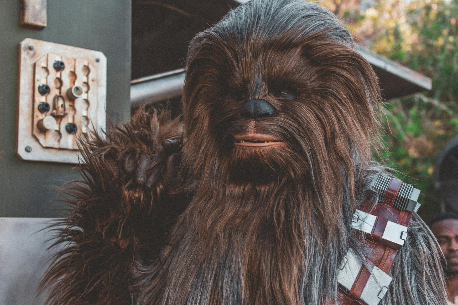 Chewbacca of Star Wars