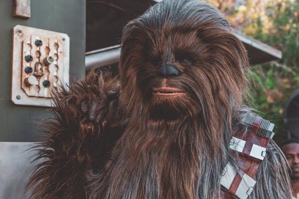 chewbacca