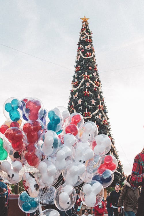 Foto d'estoc gratuïta de alt arbre de nadal, arbre de Nadal, arbre gran