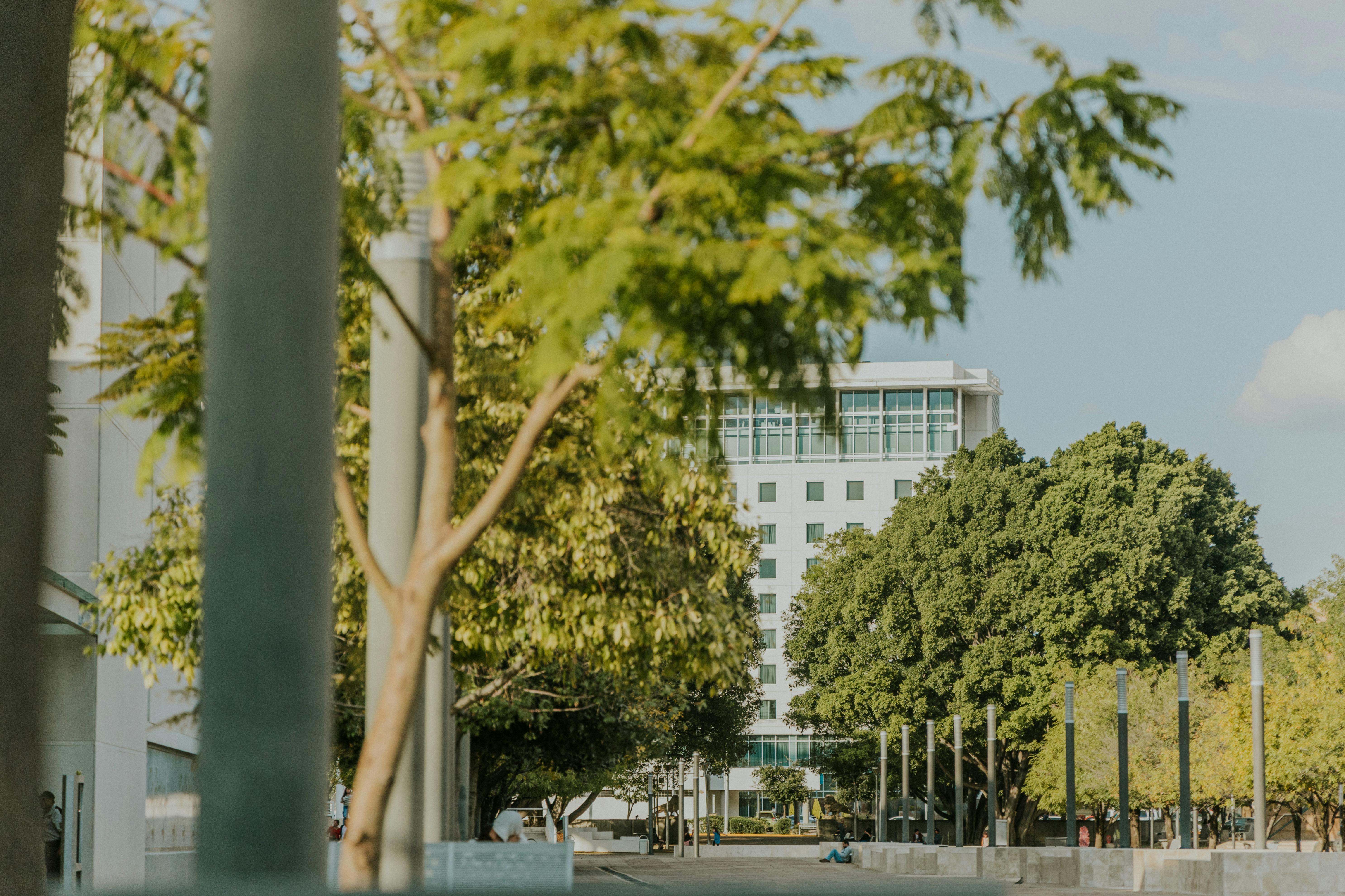 Cleveland Clinic main campus adds Saturday elective surgery hours — Photo by Amar  Preciado on Pexels