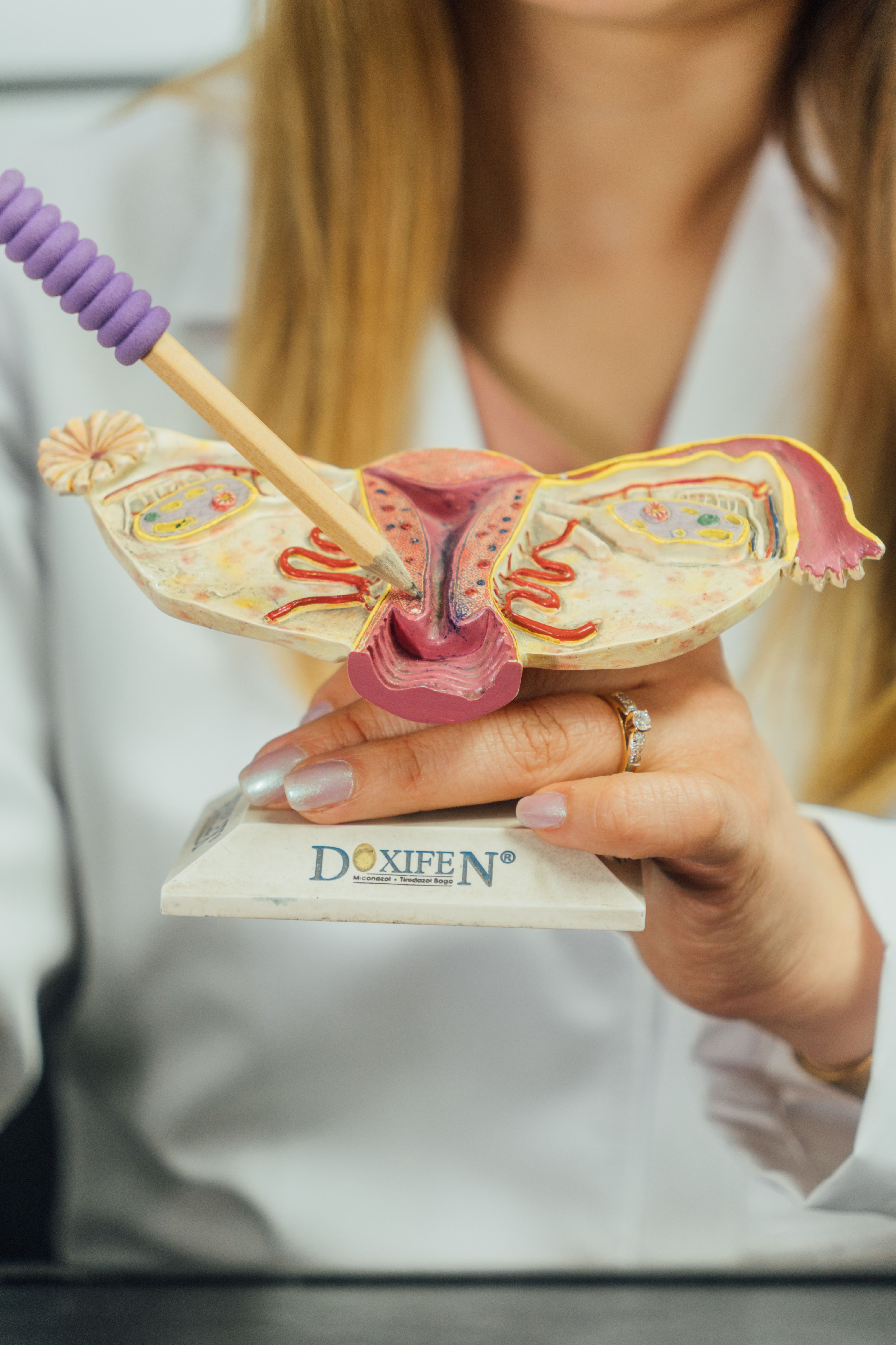 A Paper with Reproductive System Parts · Free Stock Photo