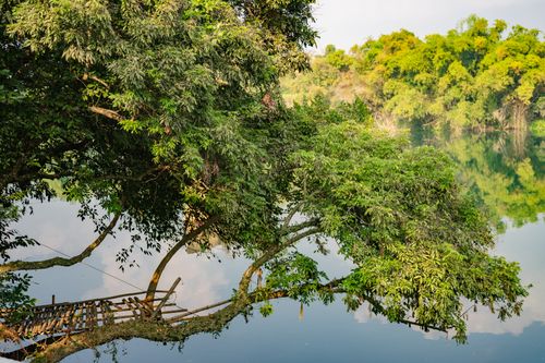 Free Tranquil lakeside scene showcasing vibrant greenery and reflective water under a clear sky. Stock Photo