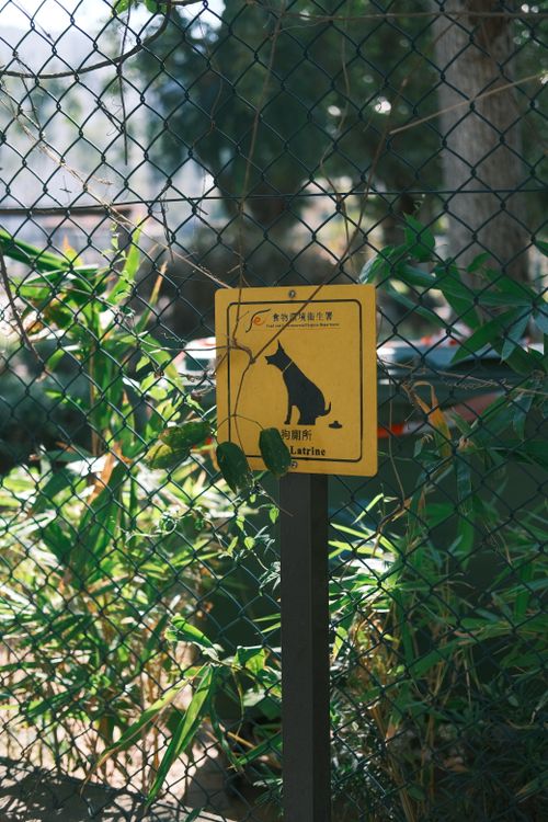 Free A yellow dog latrine sign in a park reminding owners to clean up after pets. Stock Photo