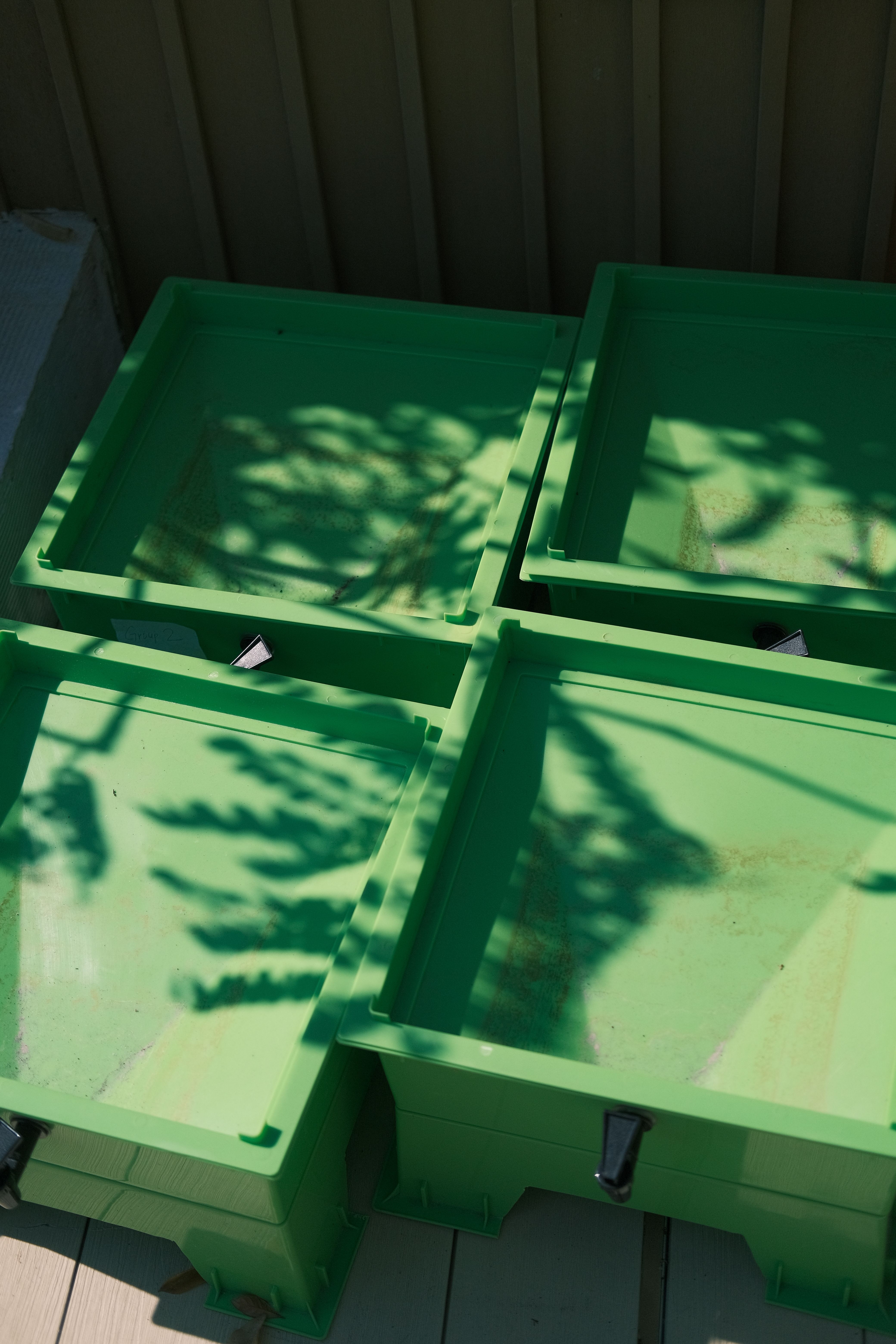 Green Recycling Bins with Tree Shadows · Free Stock Photo