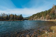 Beautiful autumn landscape of Altai river surrounded by mountains and forest.
