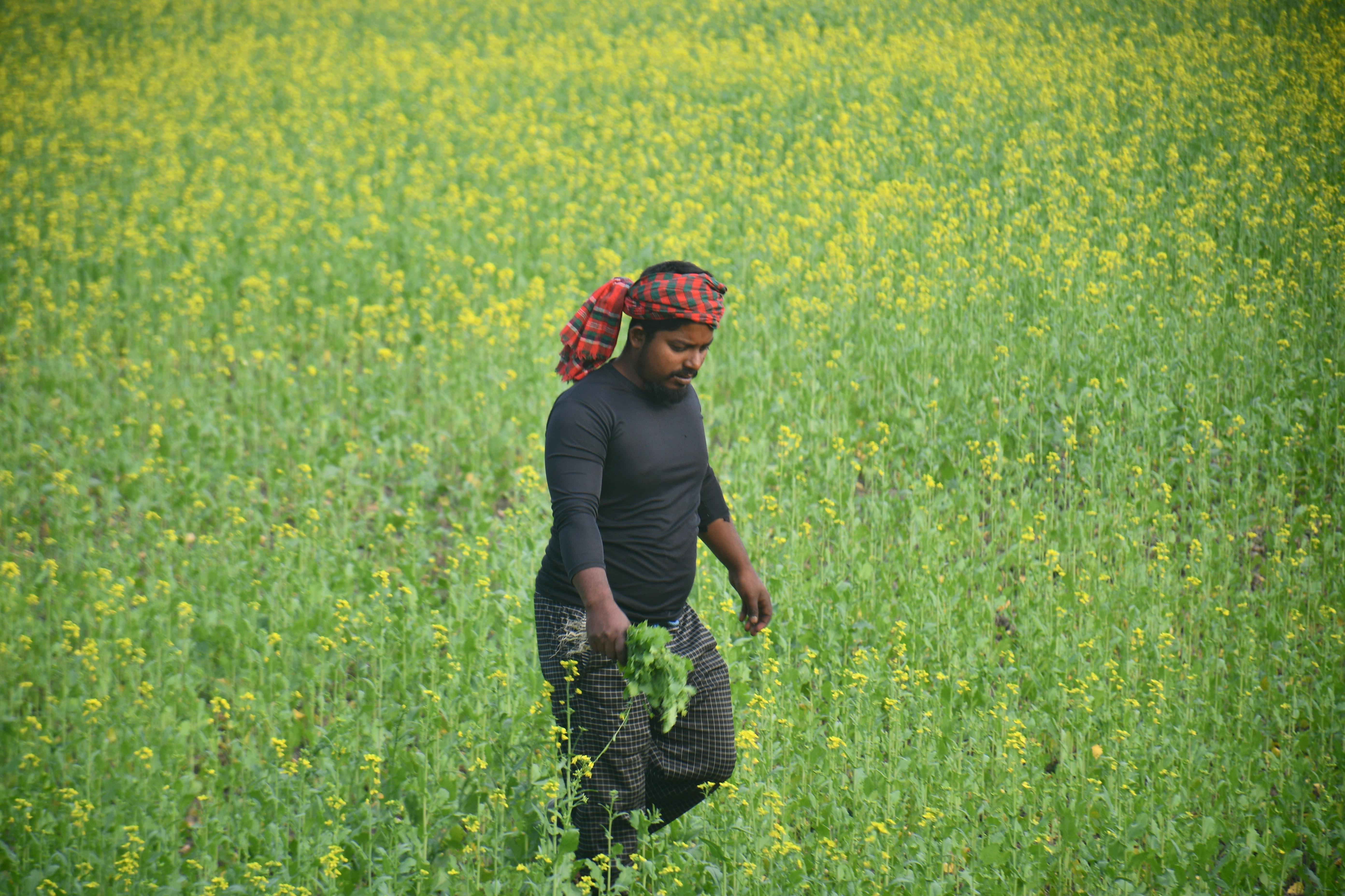 Many farmers utilize life insurance for farm financing — Photo by masudar rahman on Pexels