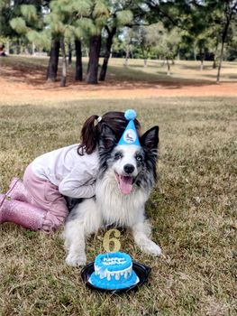 A child with a Border Collie celebrating its birthday with a cake outdoors.