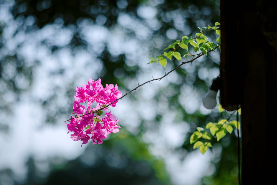 退役程序员,喜欢写代码,帮人解决问题,请成全我