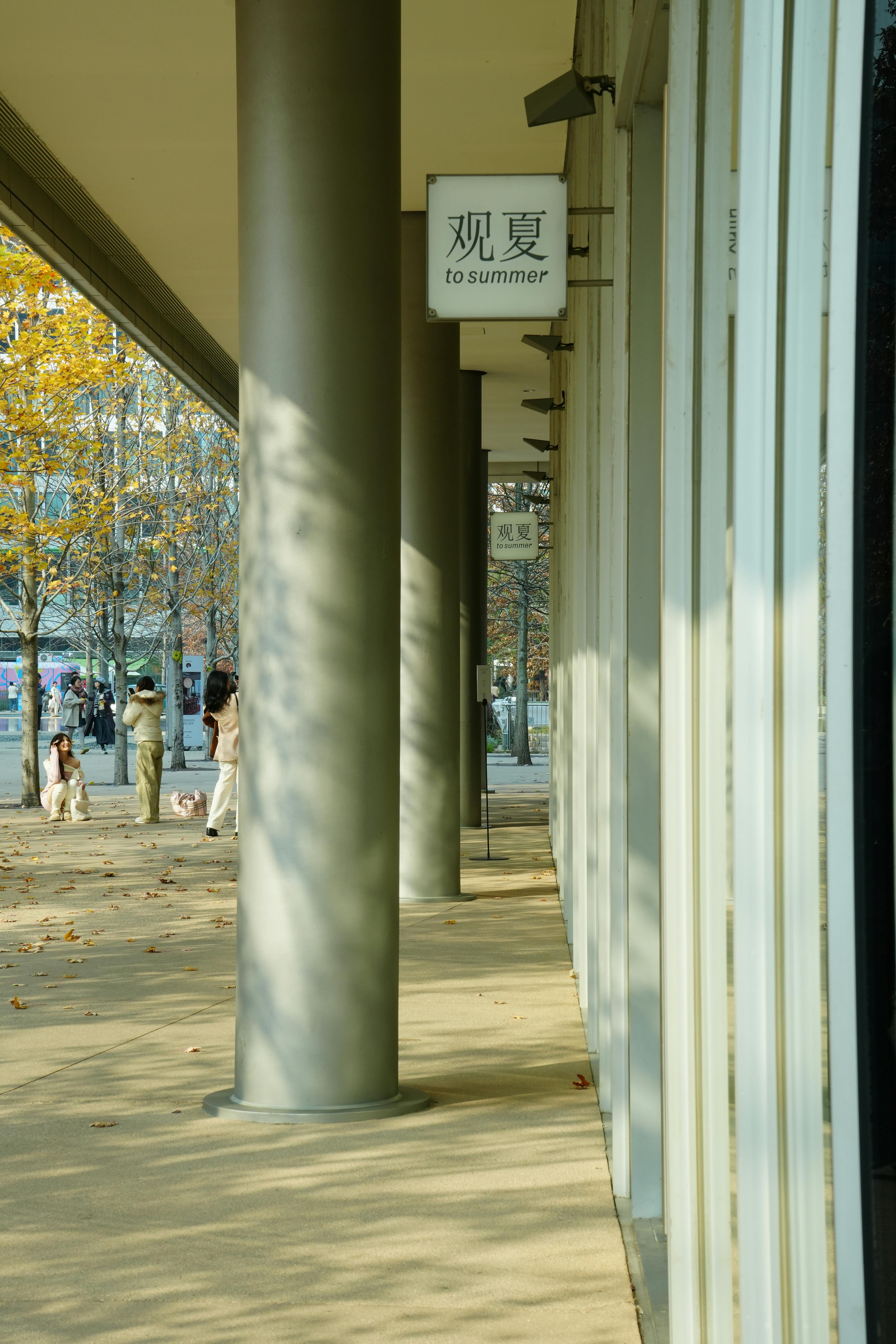 grátis Foto profissional grátis de ângulo oblíquo, área de compras, área de pedestres Foto profissional