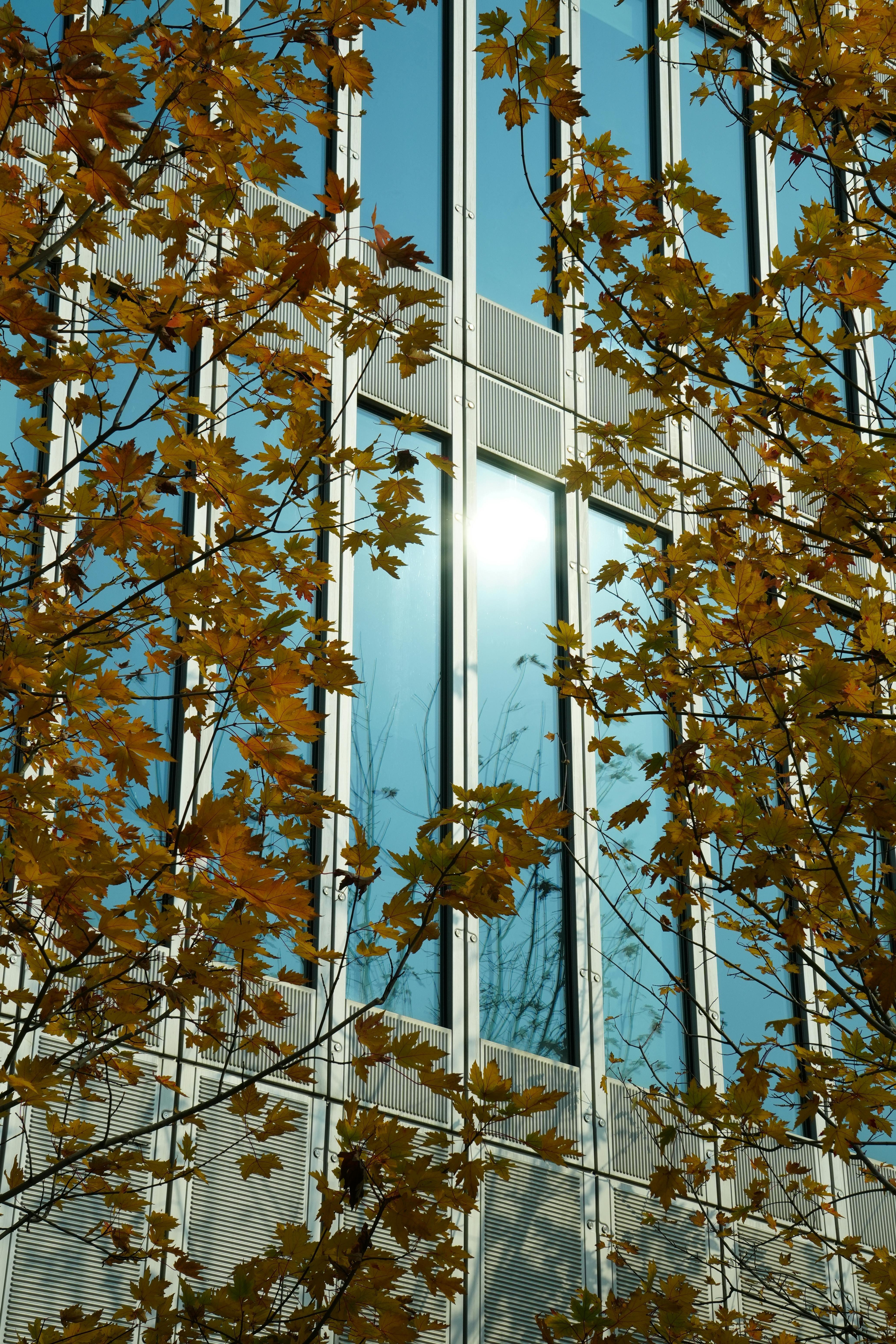 城市景观, 大厦, 天空 的 免费素材图片