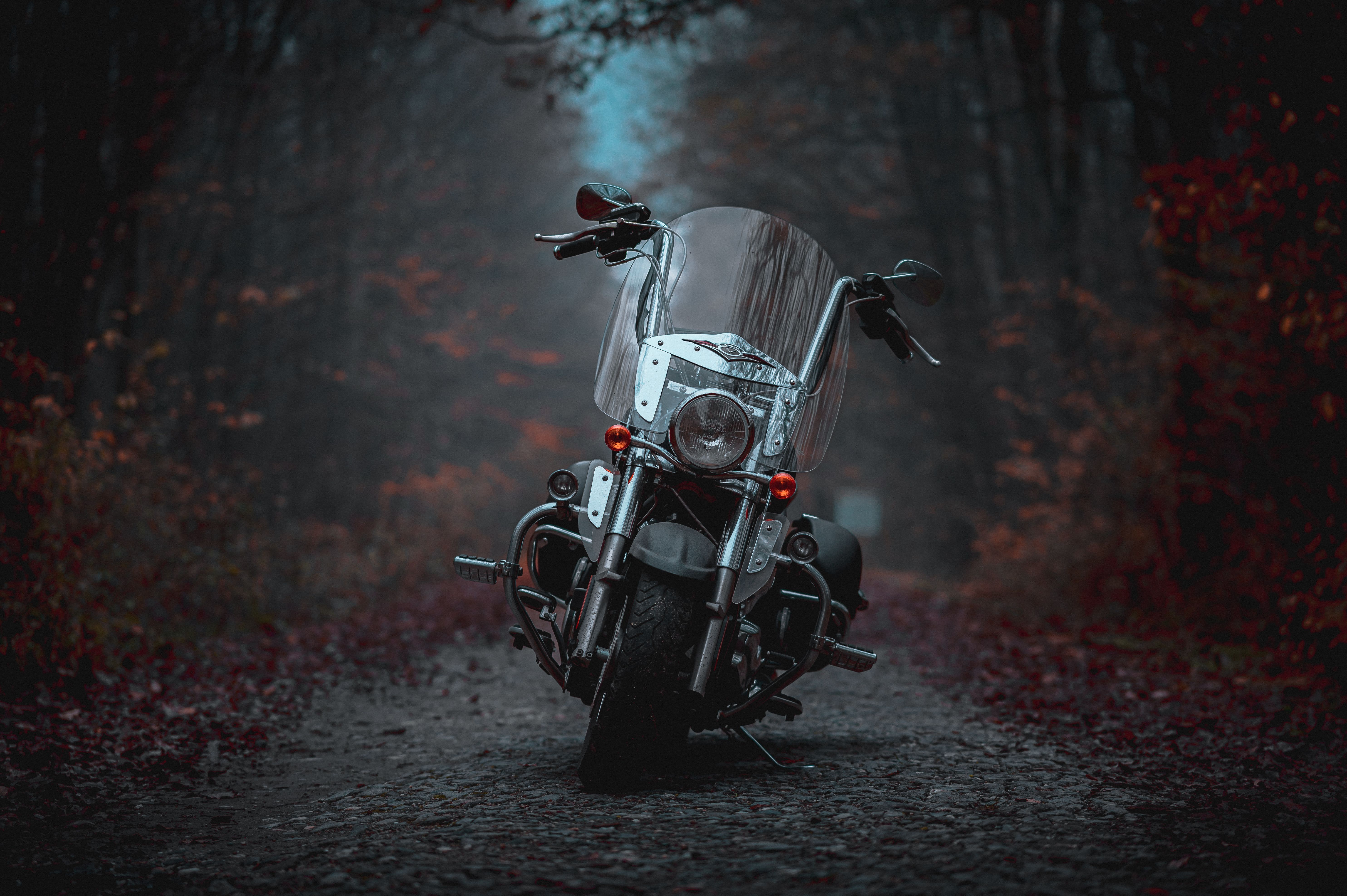 Motorcycle Parked on Forest Path During Autumn · Free Stock Photo