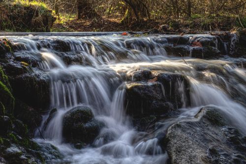 Free Peaceful waterfall in a forest setting with gentle cascading water over rocks. Stock Photo