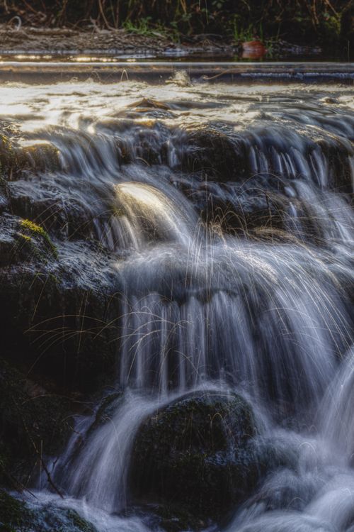 Free Captivating waterfall flowing peacefully through a lush forest, creating a tranquil nature scene. Stock Photo