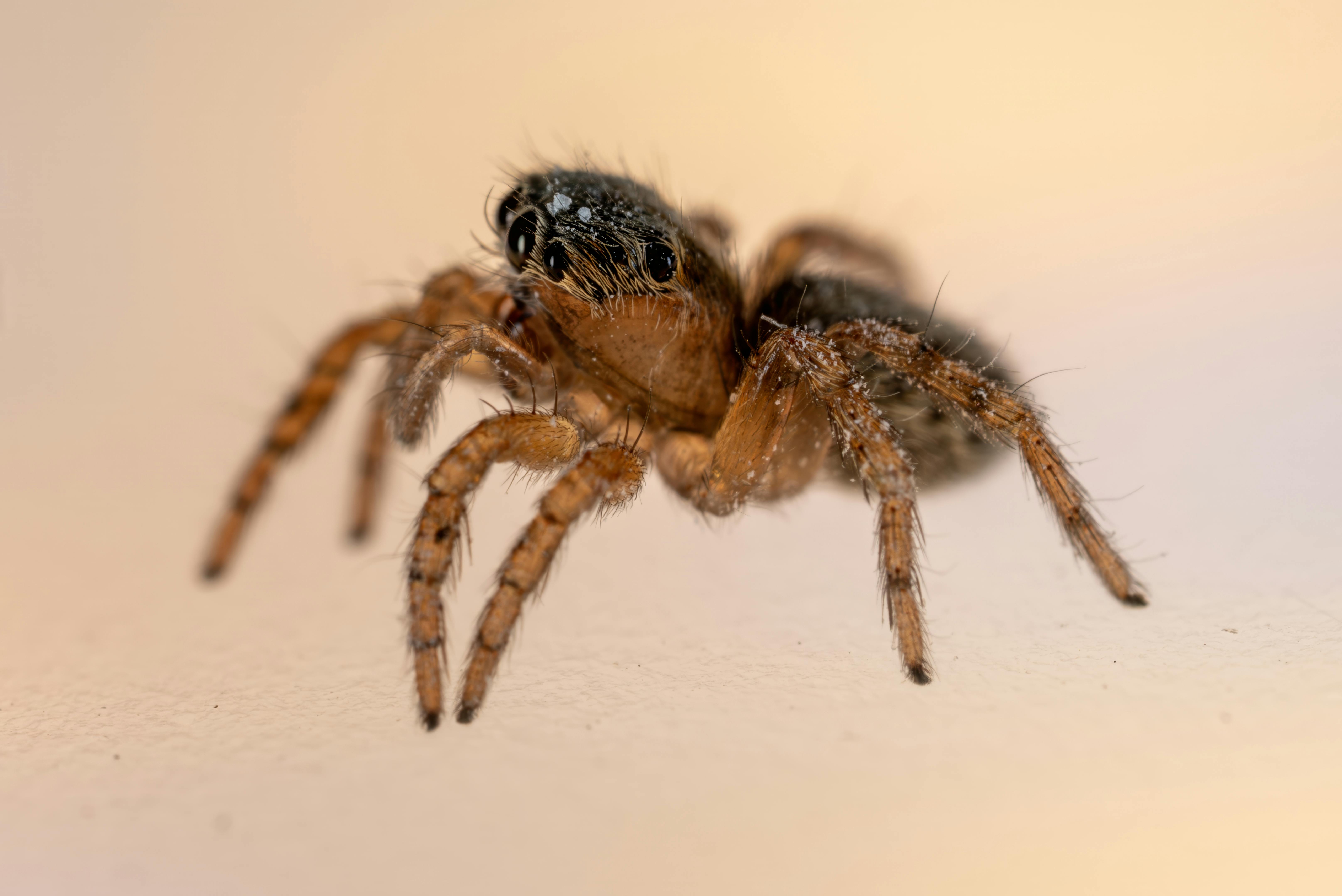 Revolutionary Sleep Hacks Exposed: Breakthroughs in Sleep Science