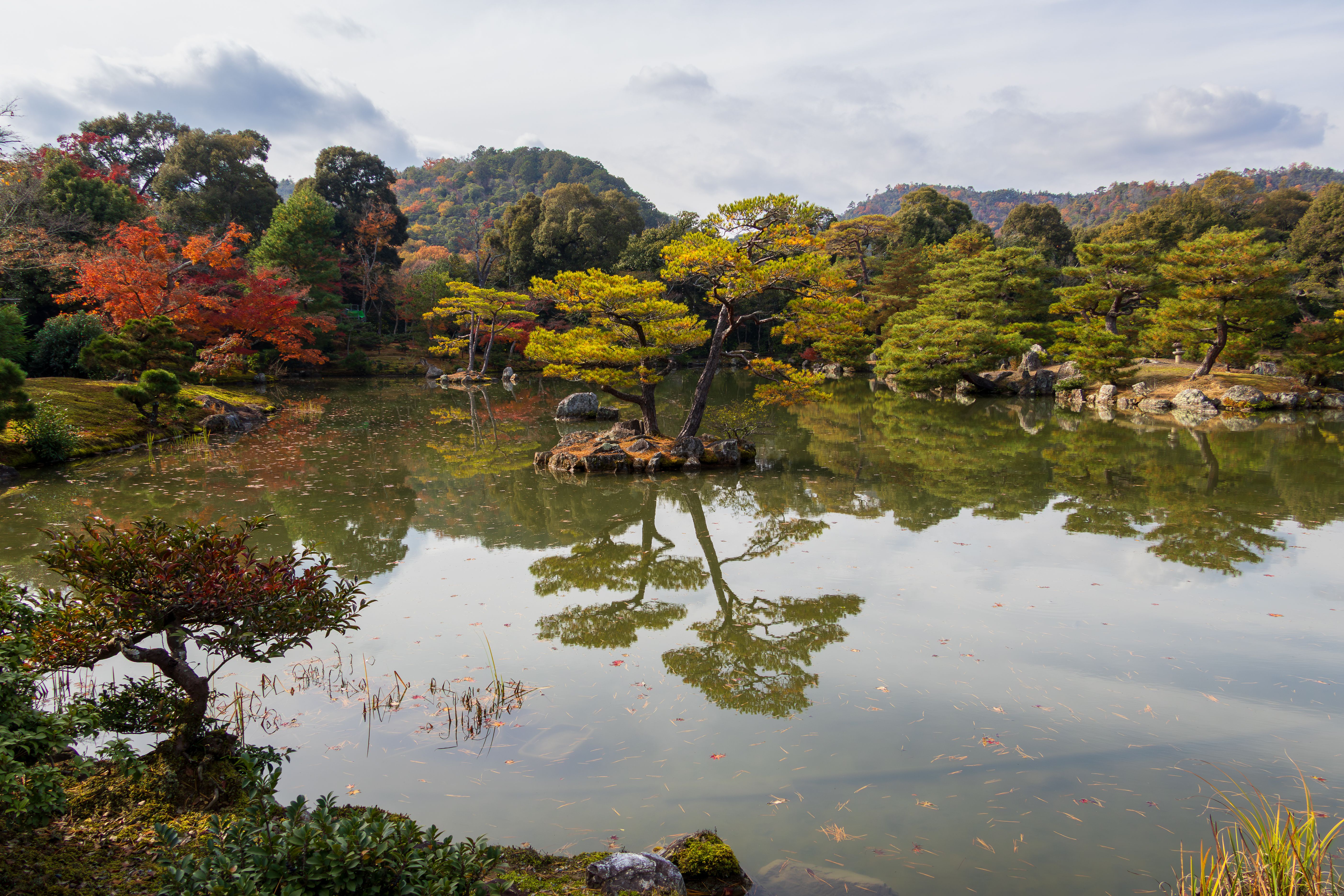 Serene Autumn View in Kyoto's Japanese Garden · Free Stock Photo